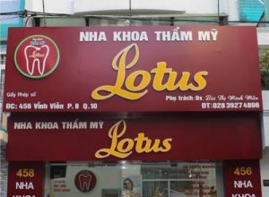 Read more about the article Nha Khoa Lotus – 456 – 458 Vĩnh Viễn, Quận 10 Có Tốt Không?