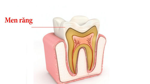 Độ dày của men răng mỏng dần về vùng chân răng