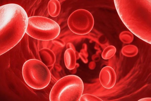 Mức sắt trong máu thấp là nguyên nhân gây viêm lưỡi