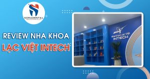 Read more about the article Nha Khoa Lạc Việt Intech Có Tốt Không? Review Chi Tiết Từ A-Z