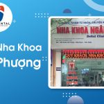 Review Nha khoa Ngân Phượng: Địa chỉ uy tín với thế mạnh răng sứ và niềng răng
